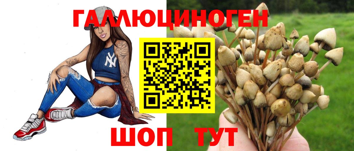 Галлюциногенные грибы мухоморы  Вход с VPN  Петрозаводск 